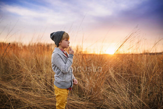 Garçon debout dans un champ au coucher du soleil mâcher un morceau d'herbe longue, états-unis — Photo de stock