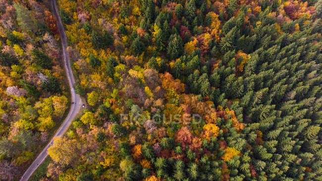Vista aérea de una carretera a través de un bosque de otoño, Trebevic, Sarajevo, Bosnia y Herzegovina - foto de stock