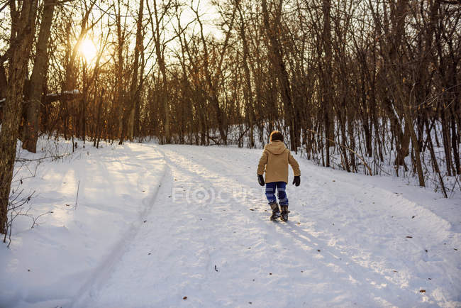 Мальчик, гуляющий по лесу в снегу, США — стоковое фото