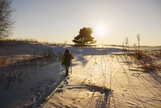 Boy walking through a field in winter snow, United States — Stock Photo