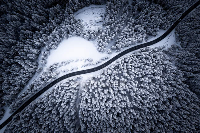 Luftaufnahme einer Straße, die sich durch schneebedeckte Bäume in den österreichischen Alpen schlängelt. — Stockfoto
