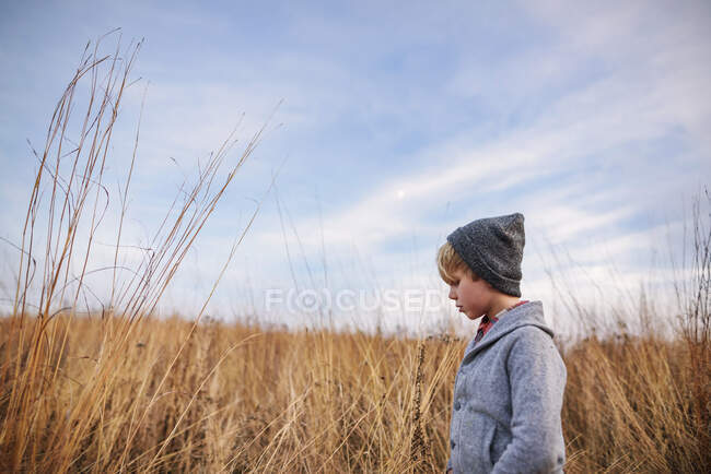Porträt eines Jungen, der auf einem Feld steht, vereinigte Staaten — Stockfoto