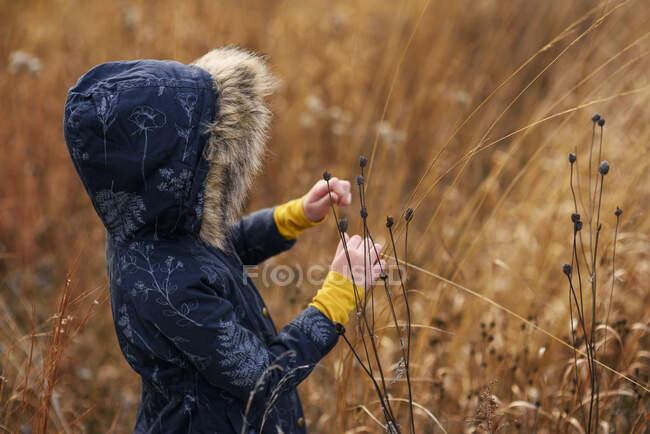 Ragazza in piedi in un campo raccogliendo erba lunga, Stati Uniti — Foto stock