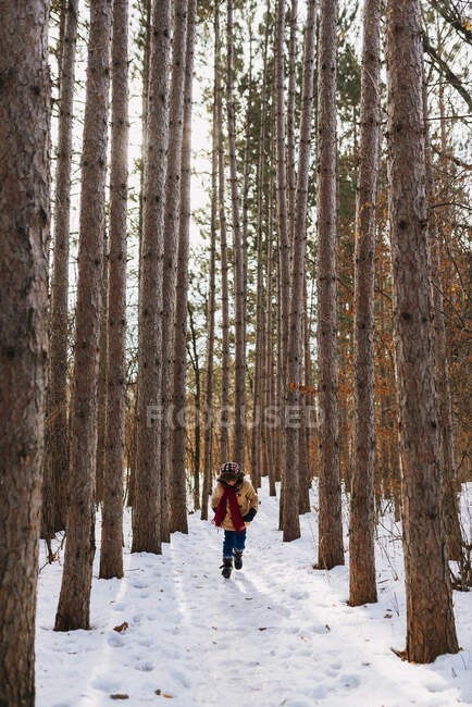 Мальчик, гуляющий по лесу зимой, Соединенные Штаты — стоковое фото