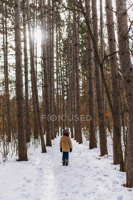 Ragazzo in piedi nel bosco in inverno, Stati Uniti — Foto stock