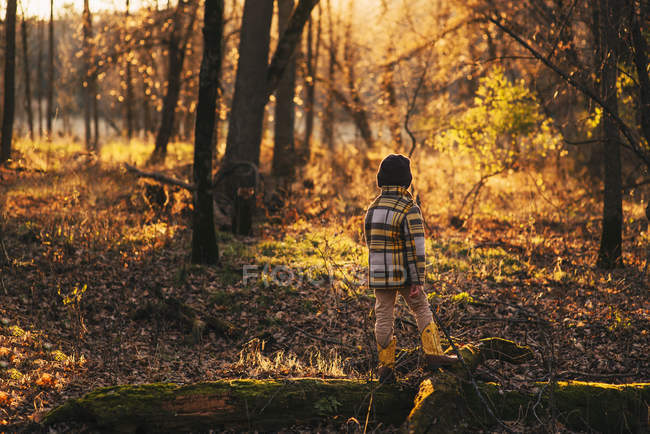 Хлопчик, який восени ходить лісом, США. — стокове фото