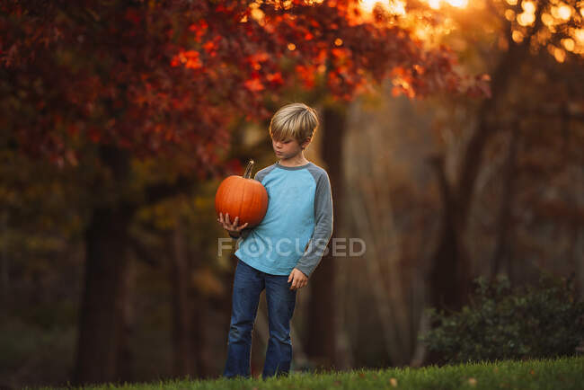 Retrato de um menino de pé em um jardim carregando uma abóbora, Estados Unidos — Fotografia de Stock