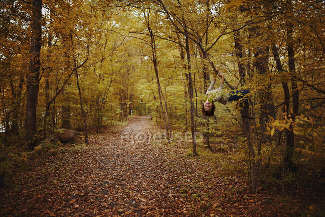 Мальчик свисает с ветки дерева в лесу, США — стоковое фото