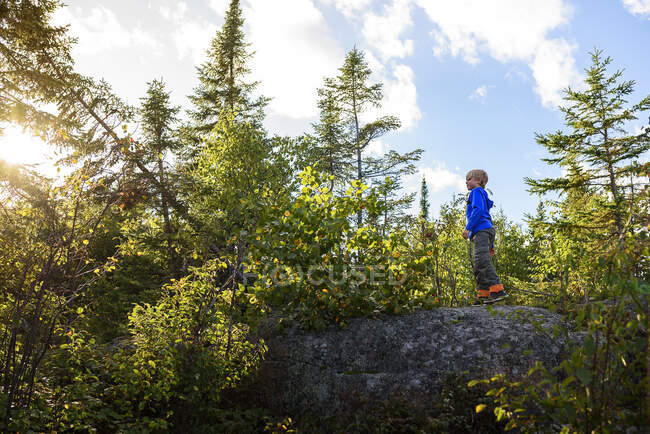 Boy senderismo a través de un bosque, Lago Superior Provincial Park, Estados Unidos - foto de stock