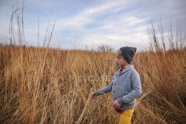 Garçon marchant dans un champ, états-unis — Photo de stock