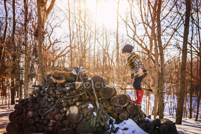 Garçon debout sur un tas de bois dans la neige, États-Unis — Photo de stock