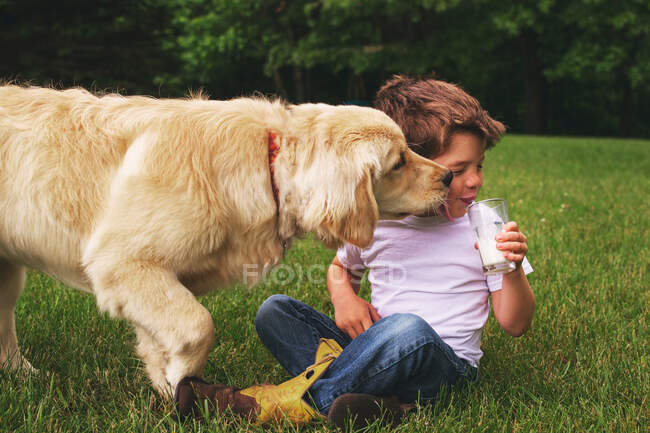 Menino bebendo um copo de leite enquanto um cão golden retriever lambe seu rosto — Fotografia de Stock