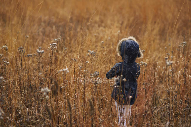 Vista trasera de una chica de pie en un campo, Estados Unidos - foto de stock