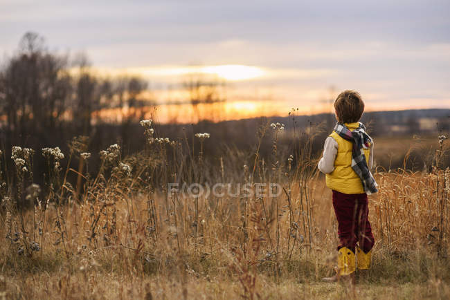 Visão traseira de um menino de pé em um campo, Estados Unidos — Fotografia de Stock