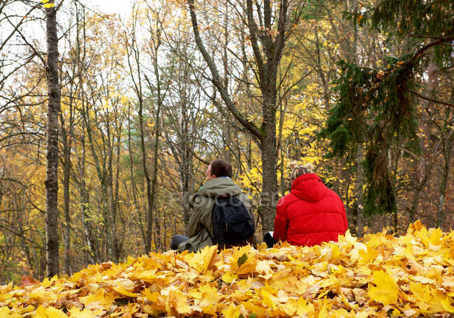Visão traseira de um casal sentado na floresta no outono, Ciobiskis, Lituânia — Fotografia de Stock