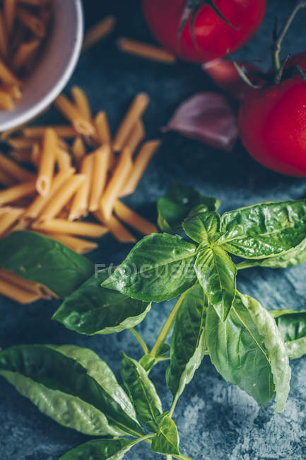 Fresh basil with penne pasta, tomatoes and garlic — Stock Photo