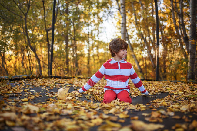 Menino sentado em um trampolim coberto em folhas de outono, Estados Unidos — Fotografia de Stock