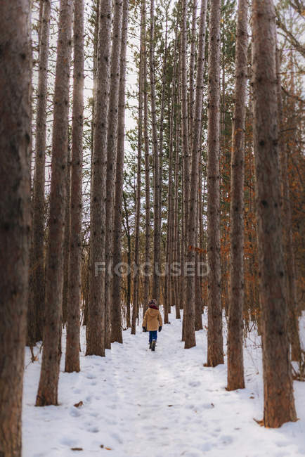 Garçon marchant dans les bois en hiver, États-Unis — Photo de stock