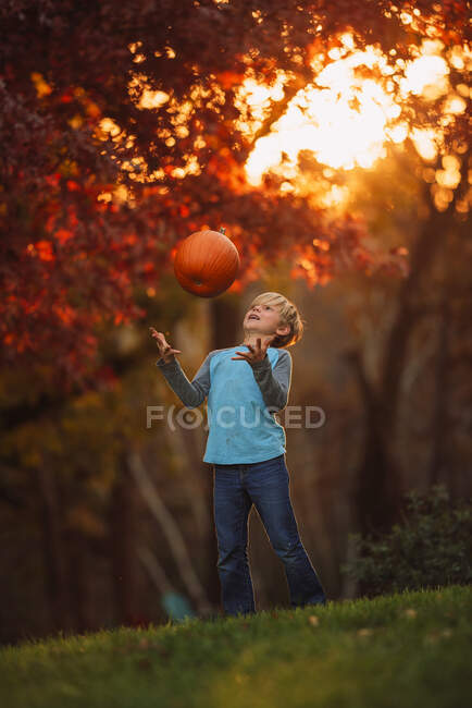 Menino de pé no jardim jogando uma abóbora no ar, Estados Unidos — Fotografia de Stock