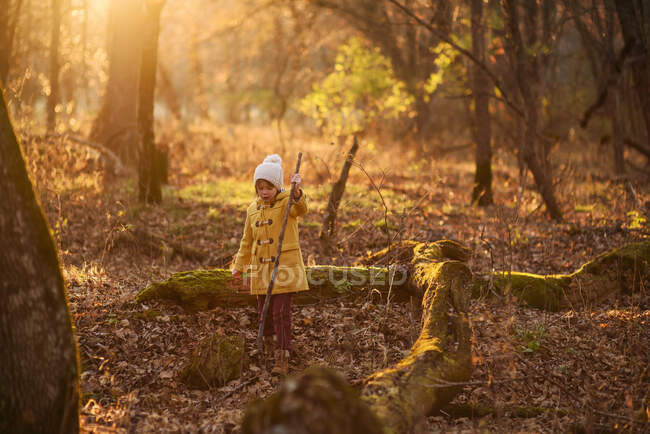 Girl walking in the woods in autumn, United States — Stock Photo