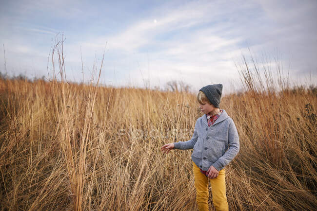 Boy walking in a field, United States - foto de stock