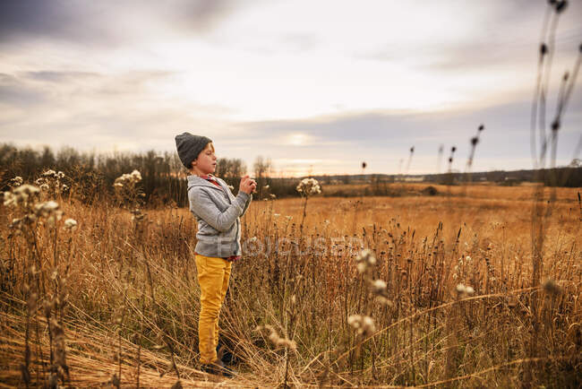 Boy standing in a field looking at his hands, Estados Unidos — Fotografia de Stock