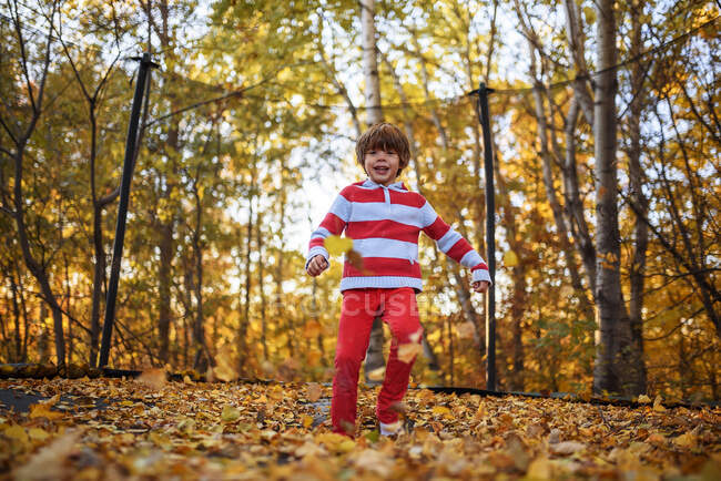 Boy standing on a trampoline covered in autumn leaves, United States — Stock Photo