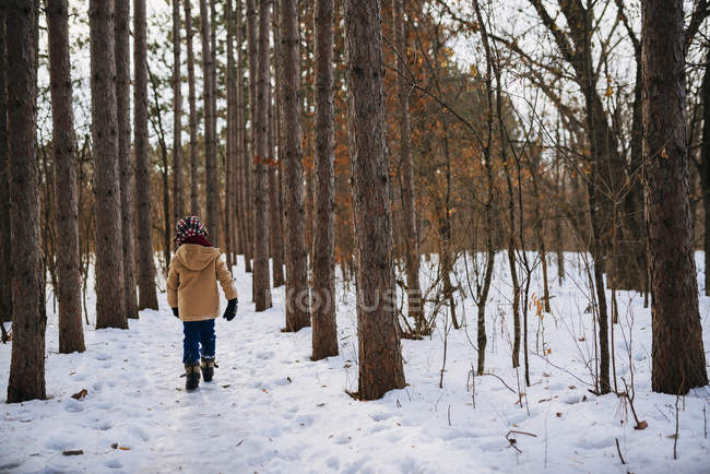 Boy walking through the woods in winter, United States — Stock Photo
