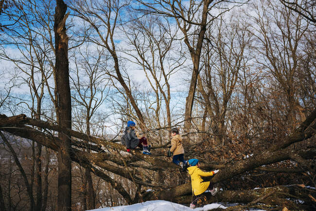 Drei Kinder spielen im Wald, Vereinigte Staaten — Stockfoto
