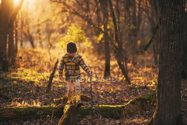 Boy walking through the woods in autumn, United States — Stock Photo
