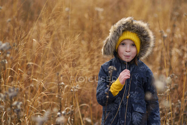 Portrait of a girl standing in a field chewing a piece of long grass, United States — Fotografia de Stock