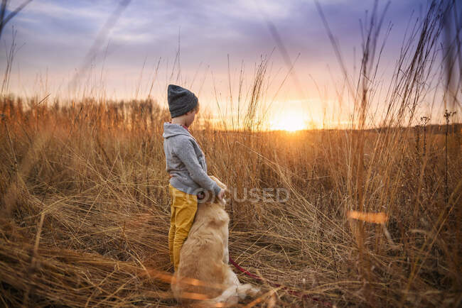 Garçon debout dans un champ avec son chien golden retriever, États-Unis — Photo de stock