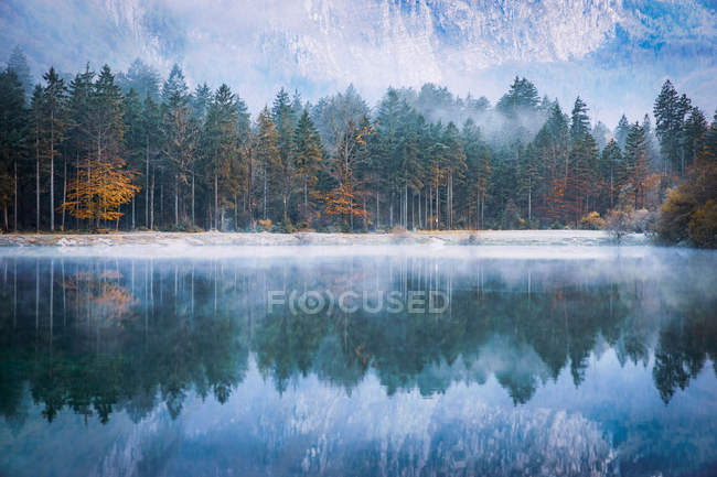 Riflessioni sulla foresta autunnale in un lago, Bluntautal vicino a Golling, Salisburgo, Austria — Foto stock