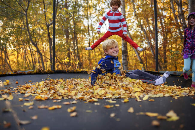 Três crianças brincando em um trampolim coberto em folhas de outono, Estados Unidos — Fotografia de Stock