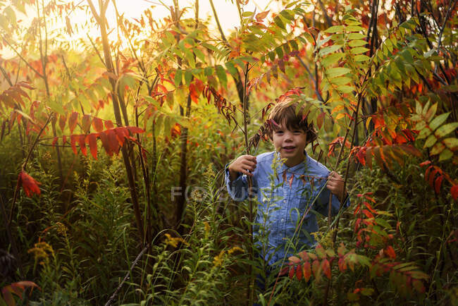Хлопчик, який ходить по полі сумака на заході сонця (США). — стокове фото