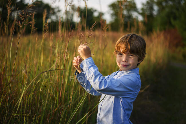 Retrato de um menino sorridente em pé em um campo ao pôr do sol pegando grama longa, Estados Unidos — Fotografia de Stock