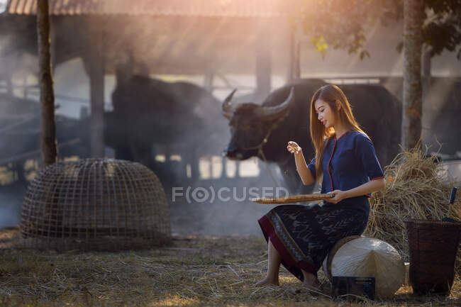 Улыбающаяся женщина на ферме сортирует рис, Таиланд — стоковое фото