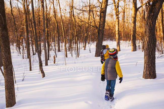 Drei Kinder, die durch einen Wald im Schnee gehen, Vereinigte Staaten — Stockfoto