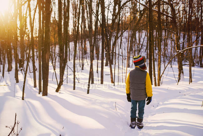 Junge steht in einem verschneiten Wald, vereinigte Staaten — Stockfoto