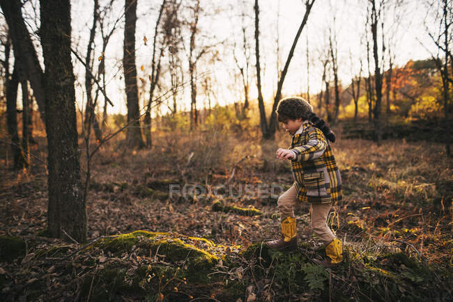Мальчик, гуляющий по лесу осенью, США — стоковое фото