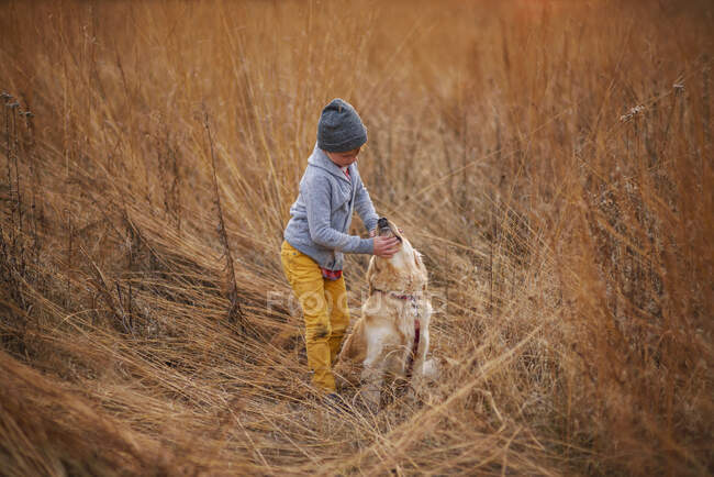 Boy standing in a field stroking his golden retriever dog, United States - foto de stock