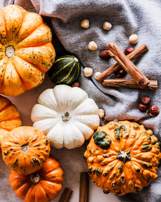 Autumn pumpkin, squash, cinnamon and nut arrangement — Stock Photo