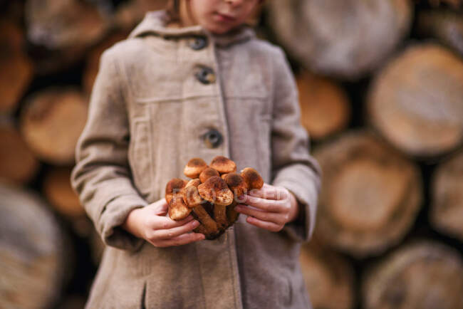 Girl Standing by a woodpile holding wild mushrooms, United States — Stock Photo