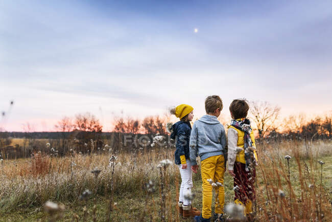 Трое детей, стоящие в поле на закате, США — стоковое фото
