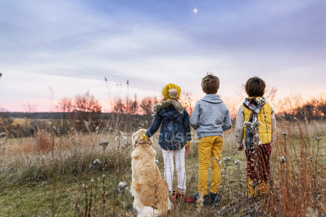 Drei Kinder auf einem Feld bei Sonnenuntergang mit ihrem Golden Retriever Hund, Vereinigte Staaten — Stockfoto