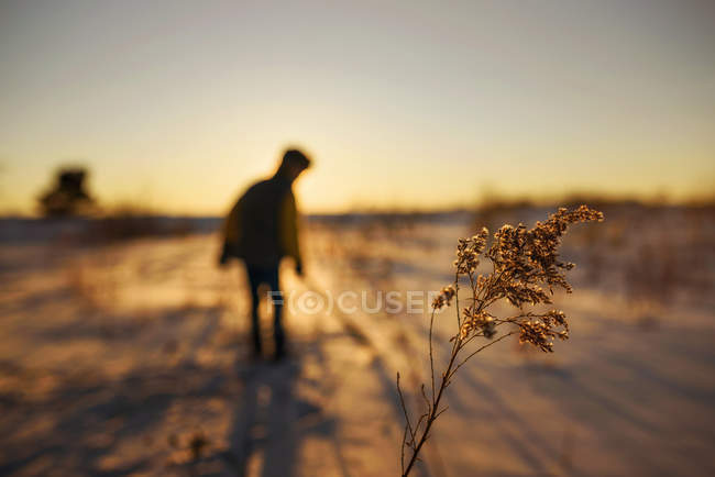 Niño caminando en la nieve por la noche, Estados Unidos - foto de stock