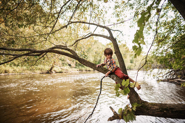 Мальчик, сидящий на дереве с палкой, Соединенные Штаты — стоковое фото