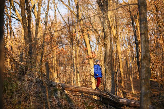 Niño parado sobre un árbol caído en el bosque, Estados Unidos - foto de stock