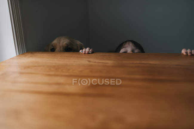 Girl hiding behind a table with her dog - foto de stock