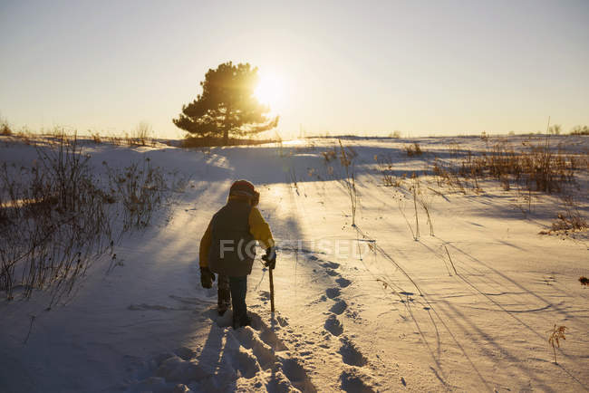 Boy walking through a field in winter snow, Estados Unidos - foto de stock